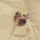 Bee Single