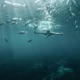 Deep Ocean Single