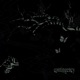 CONTINGENCY Single