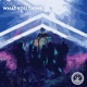 What You Think Single