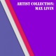 Artist Collection Max Livin