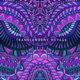 Transcendent Voyage