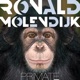 Primate