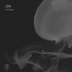 Euclidus Single