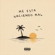 meestahaciendomal Single