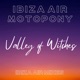 Valley of Witches feat Motopony Single