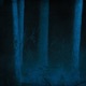 Darkest Alive Single