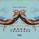 Of Gods and Trenches