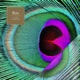 A Crack in the Eyes EP