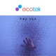 Hey You Club Mix Single
