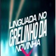 Linguada no Grelinho da Novinha feat MC L da Vinte MC Pkzinho MC AK MC Didi Single