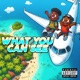 What You Can See feat Soulo Single