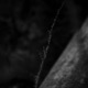 The Confusion Industry EP