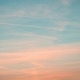 warm dreams Single