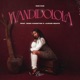 Wandidolola feat Zeze Kingston Junior Beatz Single