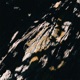 Sentinel EP