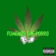 Fumemos un Porro Single