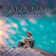 ANA NAI Single