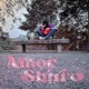 Amor Sbirro Single