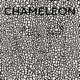 Chameleon