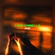 luce cannella Single