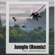 Jungle Remix Single