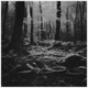 You Left Rework feat Kevin Kuh Single