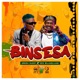 Binsesa feat Zex Bilangilangi Single