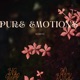 Pure Emotions feat Big Gwap JO BLVCK Single