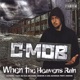 When the Heavens Rain