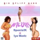 Wildin feat SpecialK Single