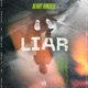 Liar Single