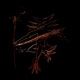 Exit Blue Klein Single