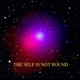 solaris Single