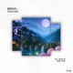 Evolution EP