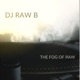 The Fog of Raw
