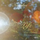 Life Master Blaster Jammin Single