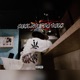 Real Steppa Talk Single