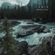 Dynamic Vision Single