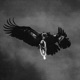 Vulture Boyz