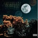 Midnight Trilogy Single