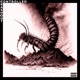 Controlled Crashout EP