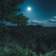 A Moonlit Path EP