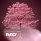 Wemoya feat 99POINT Single