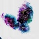 Dragon Tree EP