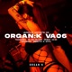 Meet the Groove ORGVA06 Single