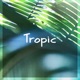 Tropic Single