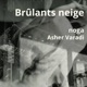 Brûlants neige Single