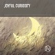 Joyful Curiosity