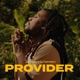 Provider Single